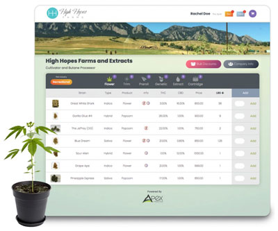 It’s Best to Be Direct When It Comes to Wholesale Cannabis It’s Best to Be Direct When It Comes to Wholesale Cannabis